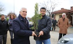 Fidanlar yeniden yeşil Bursa için toprakla buluştu