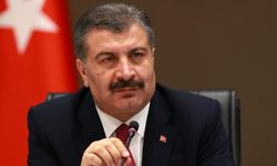 Türkiye'de son 24 saate Kovid-19'dan 254 kişi hayatını kaybetti