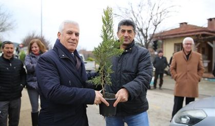Fidanlar yeniden yeşil Bursa için toprakla buluştu