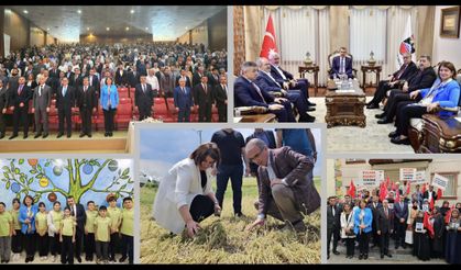 AK Parti Milletvekili Suna Kepolu Ataman, gayretle çalışmaya devam ediyor